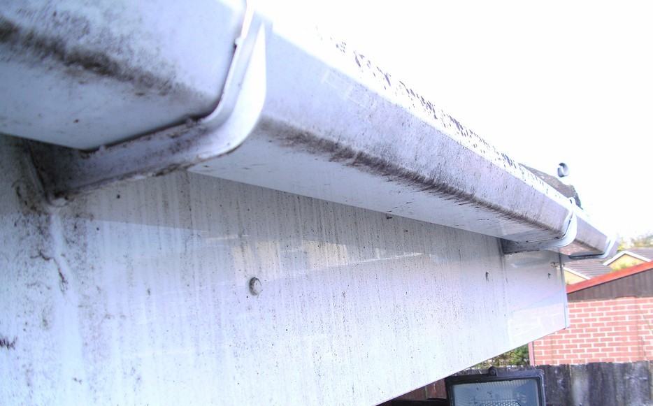 Window Cleaner in Shrewsbury, image of AG Window Cleaning - Gutter/Fascia before picture