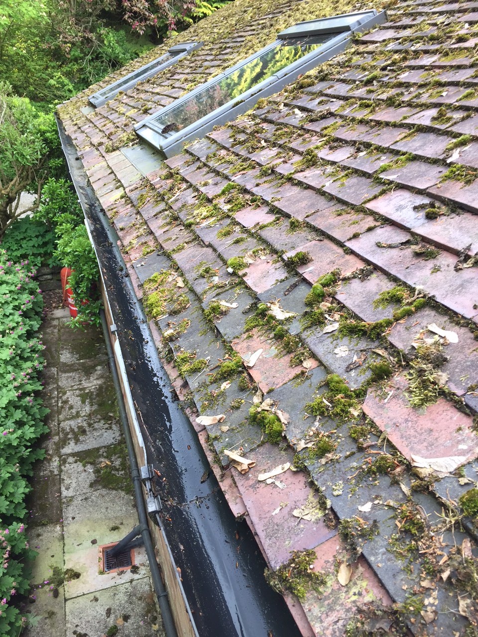 Window Cleaner in Shrewsbury, image of AG Window Cleaning - Gutters after picture