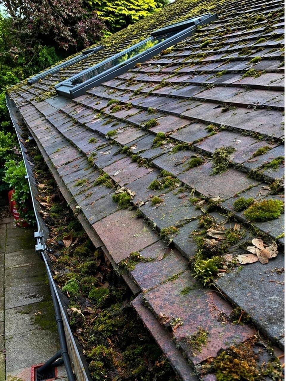 AG Window Cleaning Shrewsbury Gutter Emptying Before