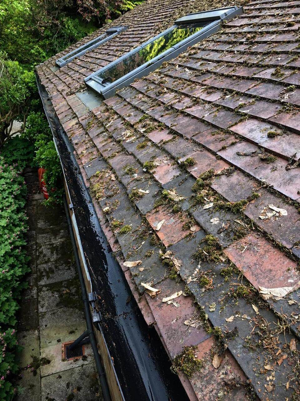 AG Window Cleaning Shrewsbury Gutter Emptying After